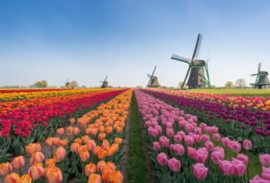 26 Must-Visit Spring Travel Destinations for Your Next Adventure. Tulip fields and windmills in the Netherlands